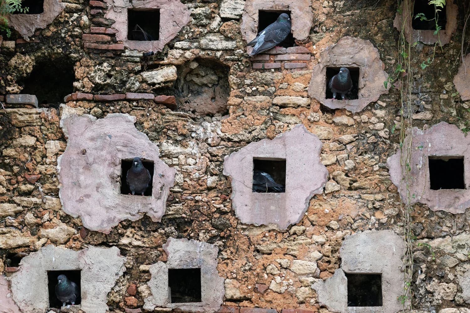 Desvío San Juan Abolicionista: recorrido sobre la esclavitud y la abolición en el Viejo San Juan — foto 20