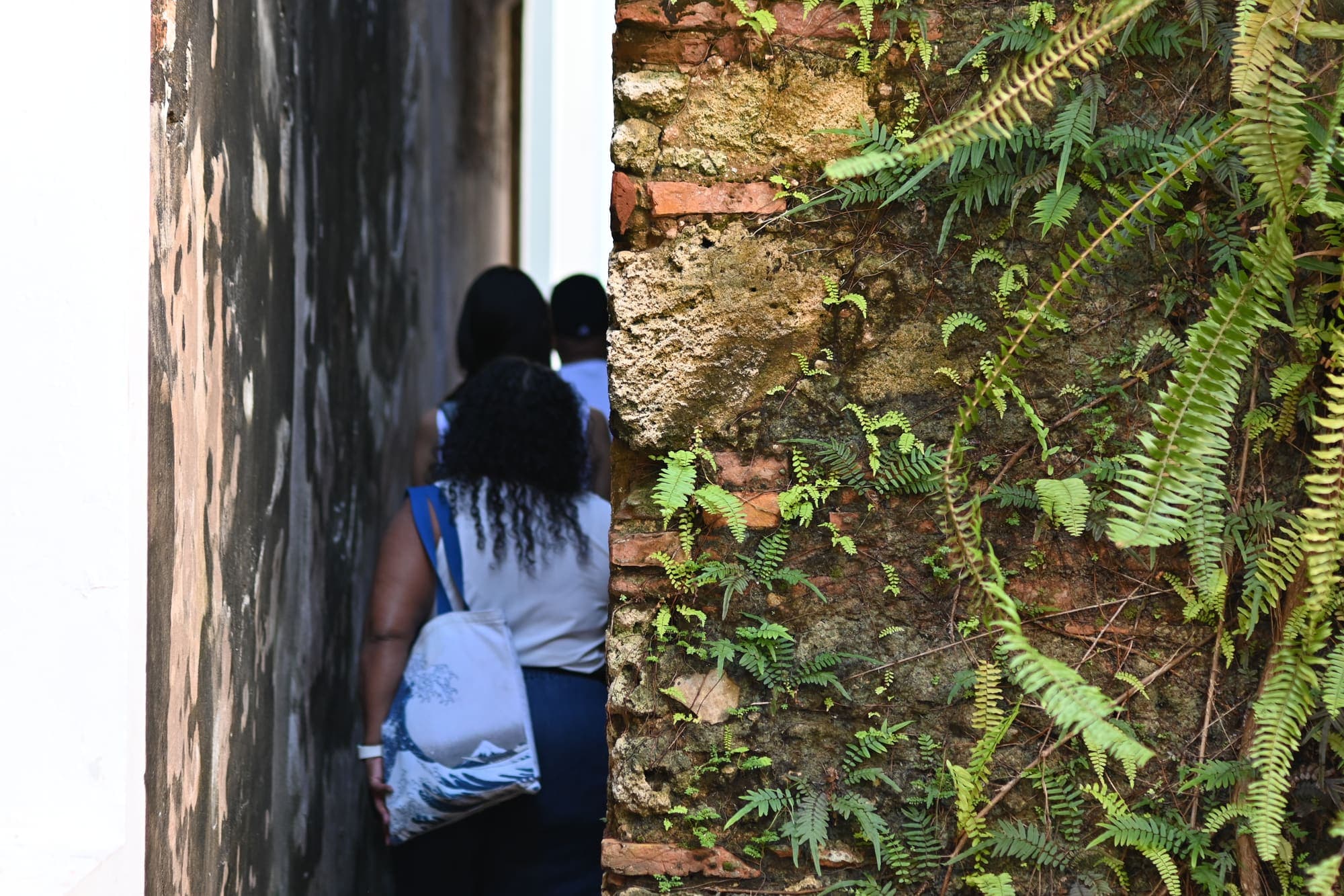 Desvío San Juan Decolonial: participantes recorren el Viejo San Juan contraponiendo archivo y paisaje — foto 04