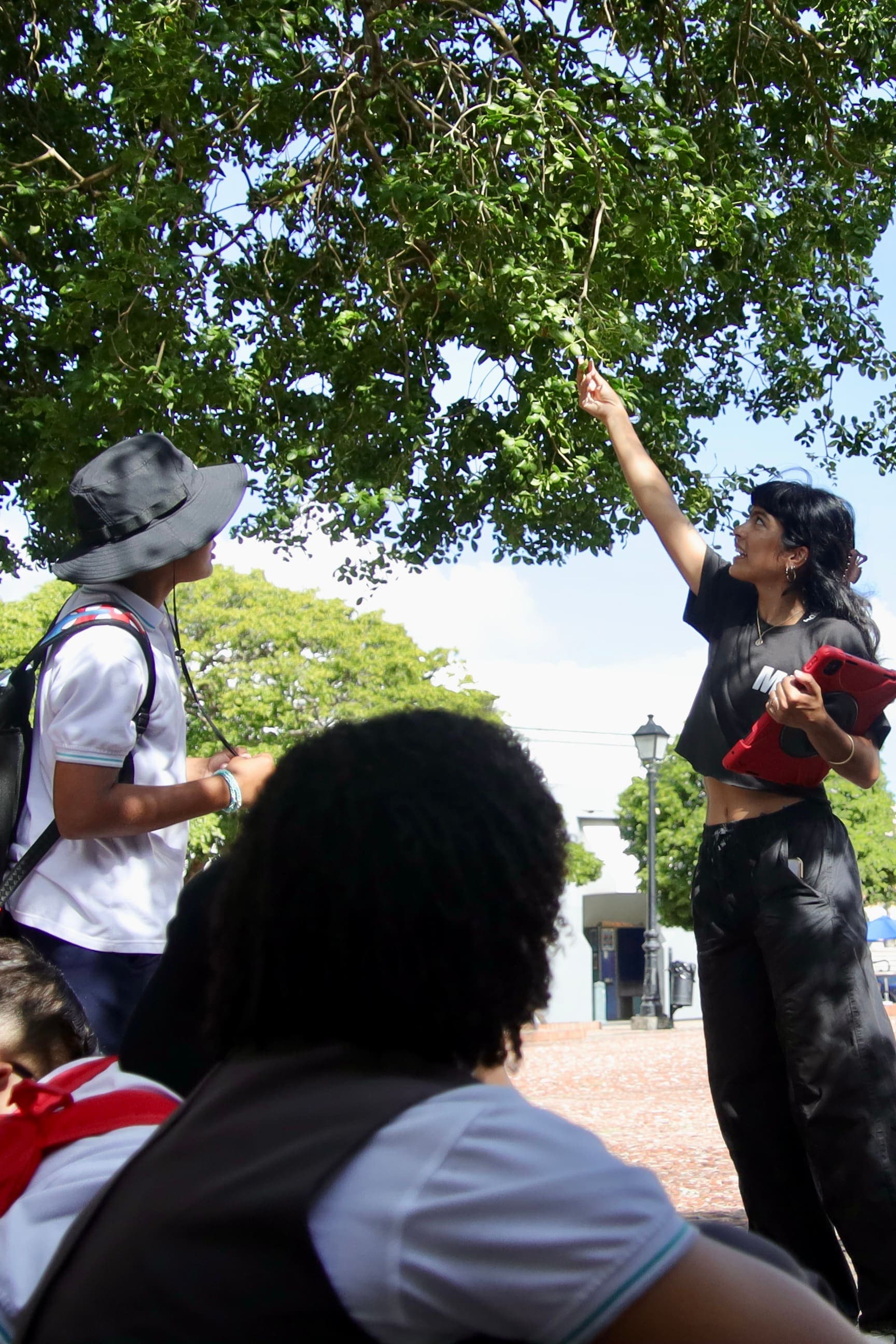 Desvío San Juan Ecológico: estudiantes exploran la ecología del Viejo San Juan — foto 01