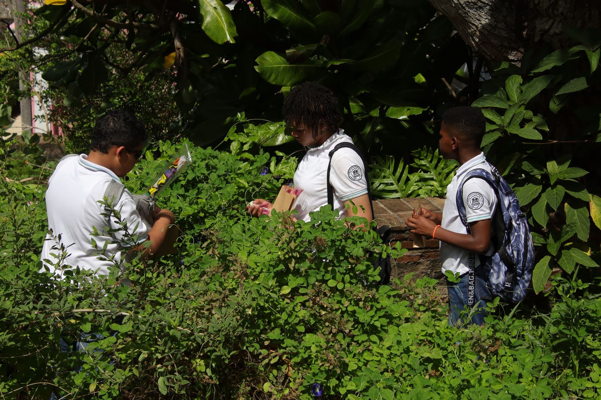Desvío San Juan Ecológico: estudiantes exploran la ecología del Viejo San Juan — foto 03