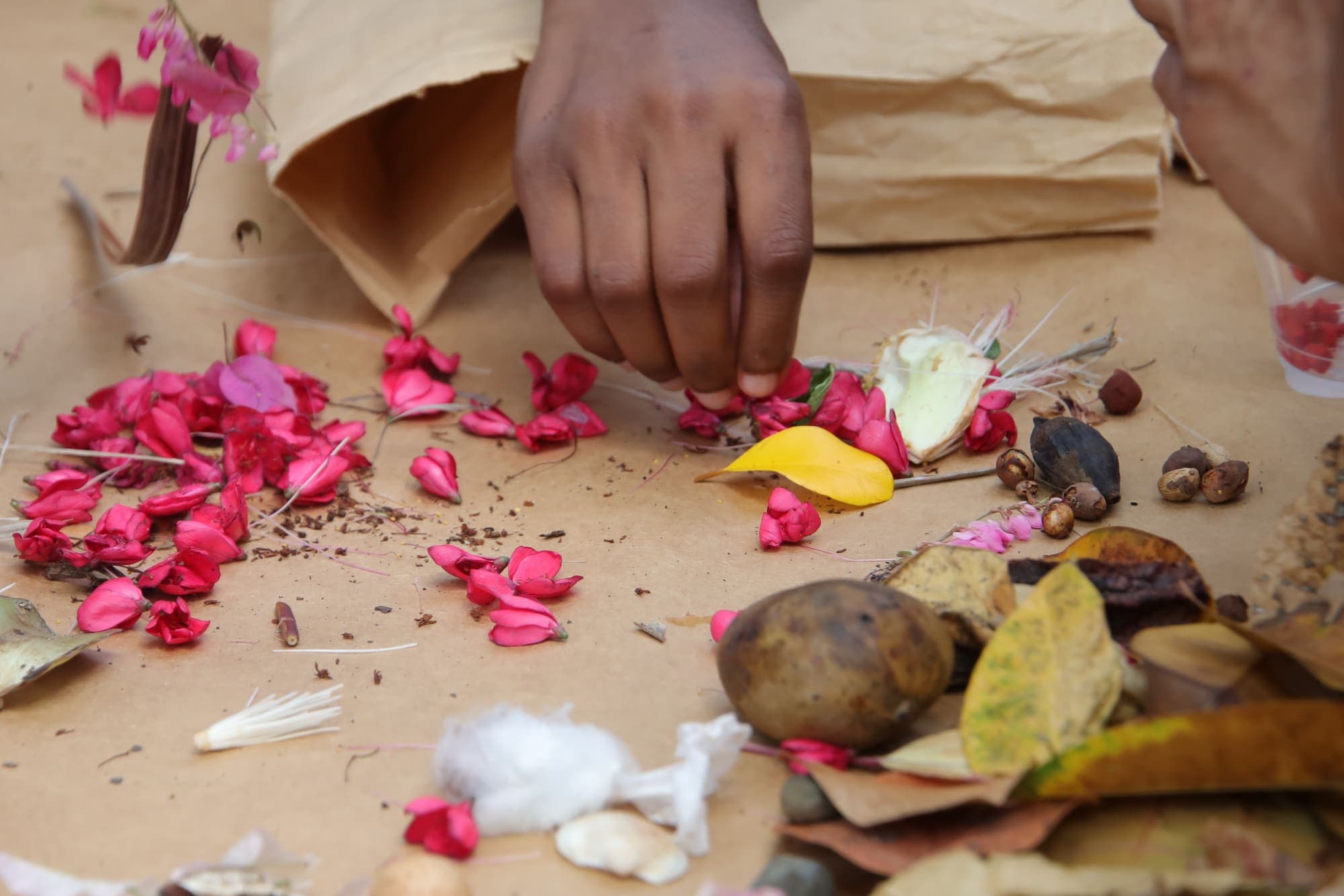 Desvío San Juan Ecológico: estudiantes exploran la ecología del Viejo San Juan — foto 08