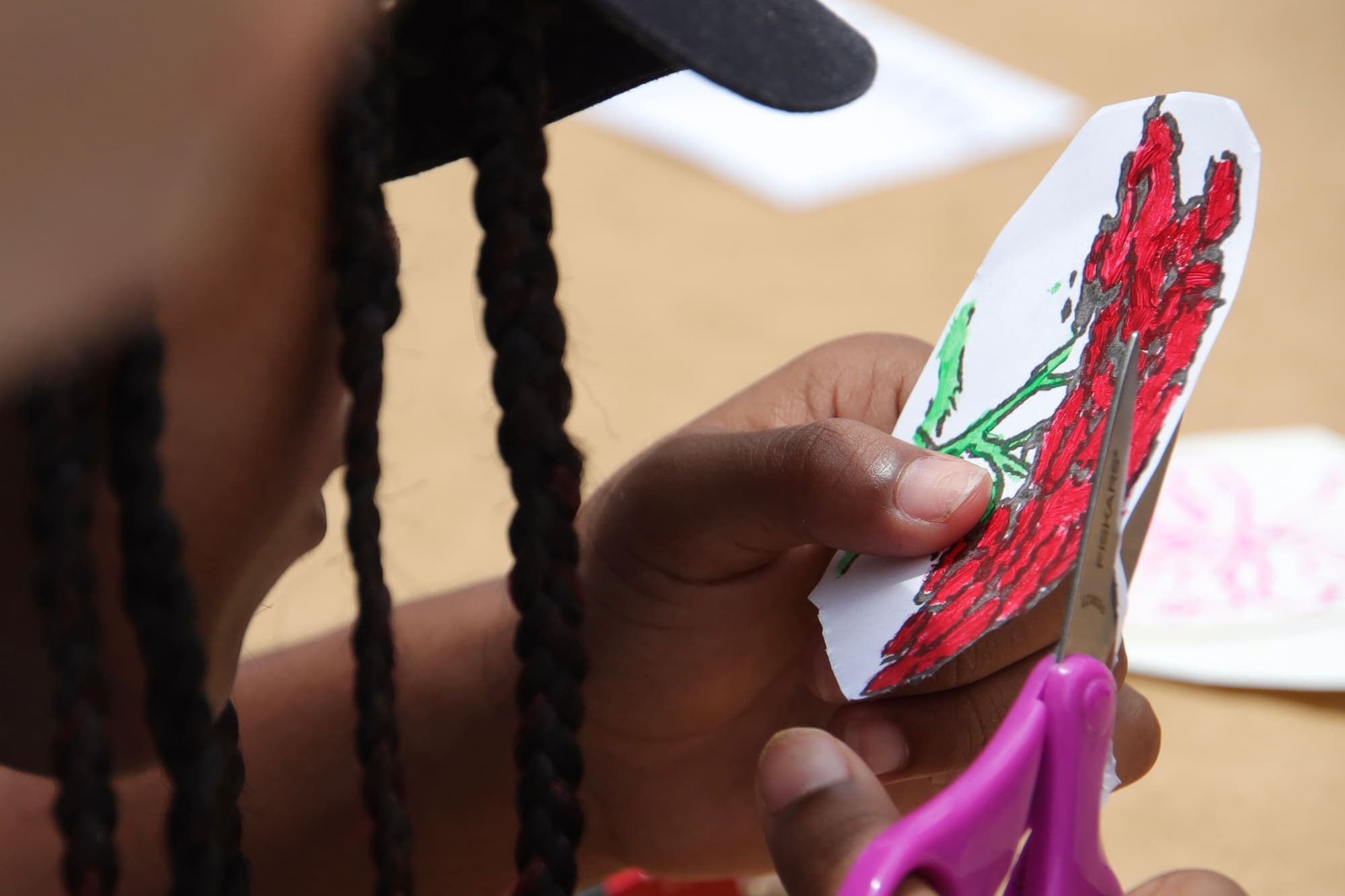 Desvío San Juan Ecológico: estudiantes exploran la ecología del Viejo San Juan — foto 09