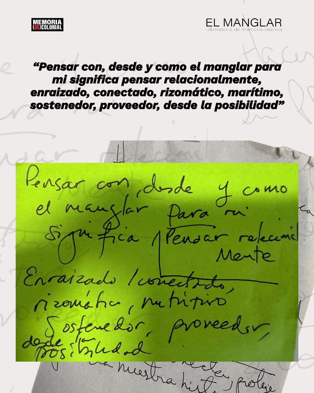 El Manglar en imágenes