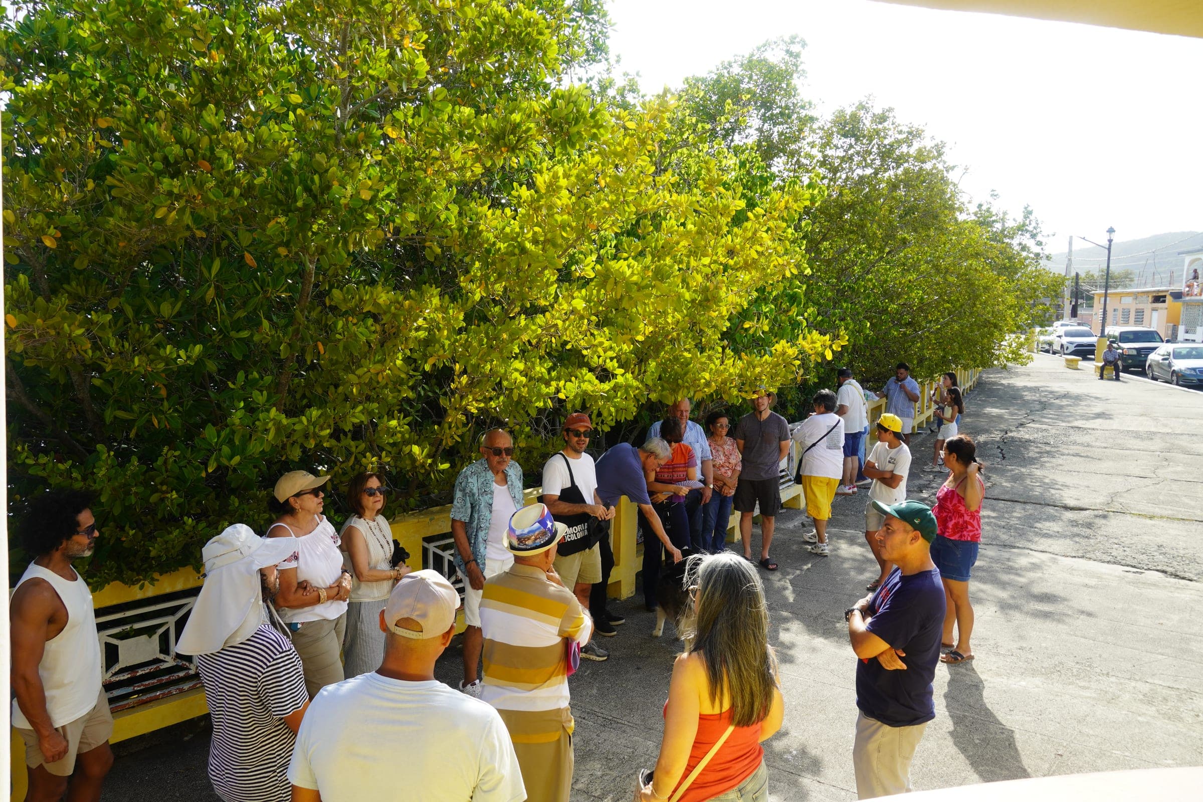 Monumentos en borradura: Guánica
