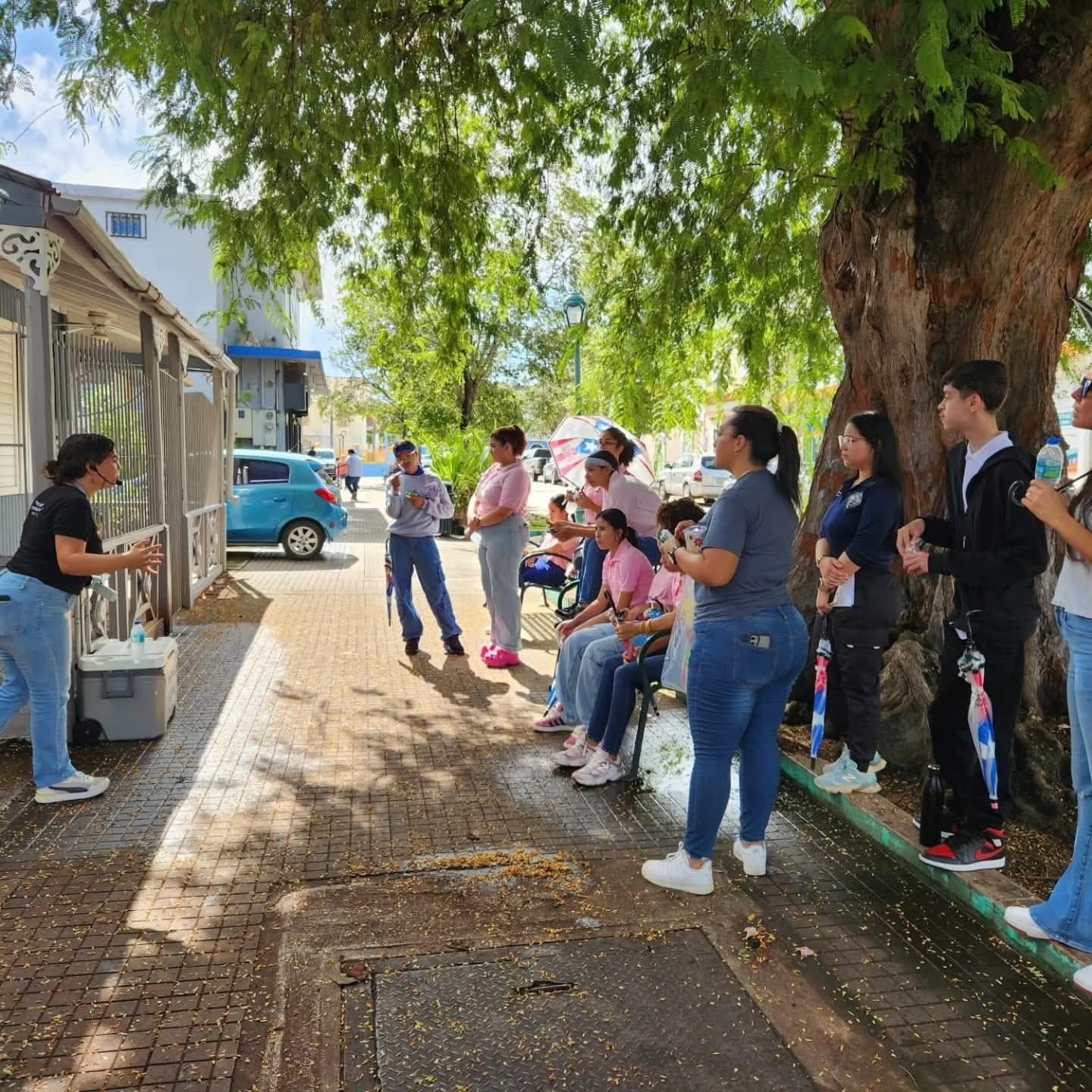 Nuestro trabajo en imágenes