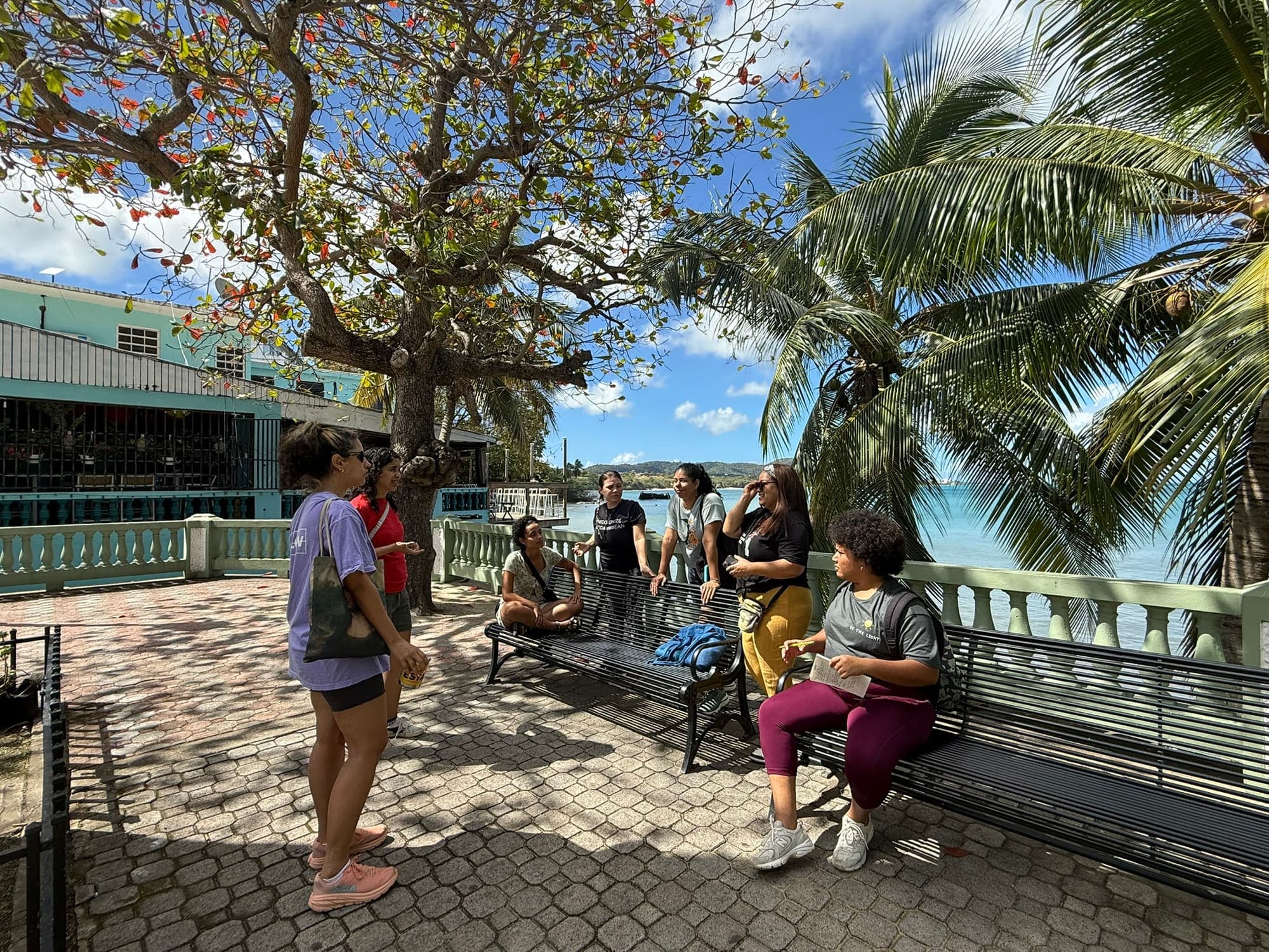 Proyecto de El Manglar con el Archivo Histórico de Vieques — foto 6
