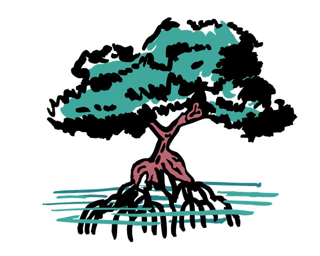 Ilustración del mangle de El Manglar